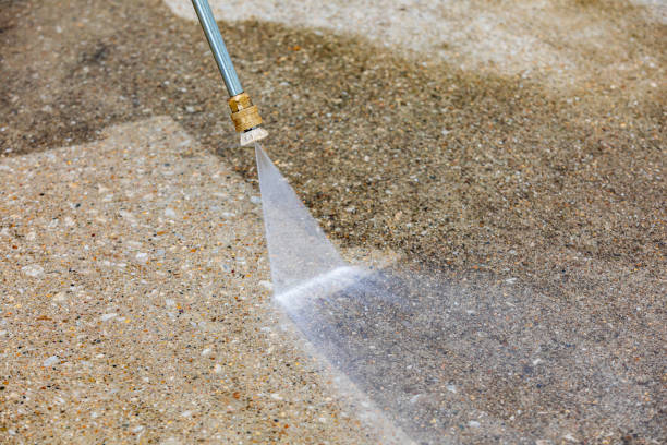 Best Roof Washing  in Wasco, CA